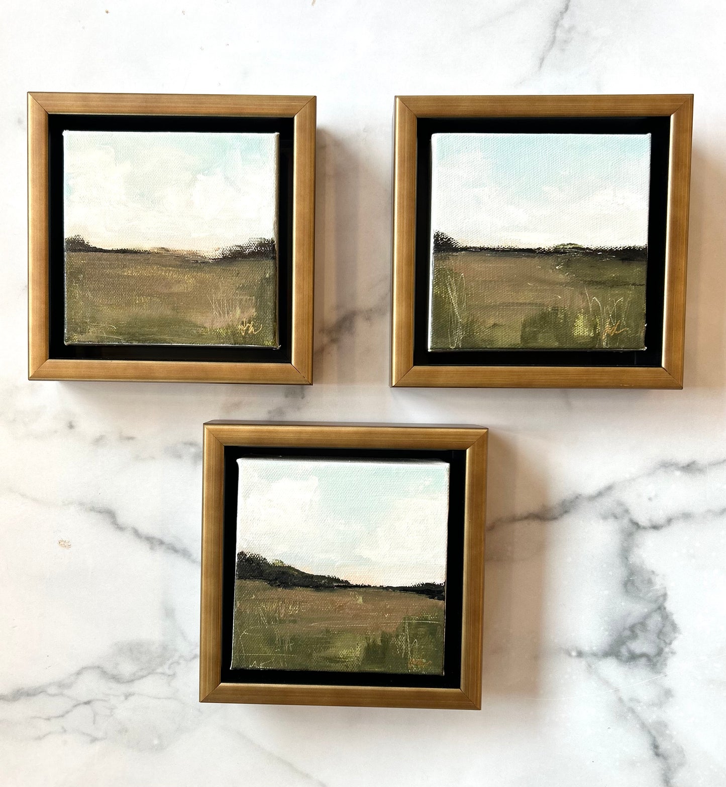 Joanie Conoly landscapes