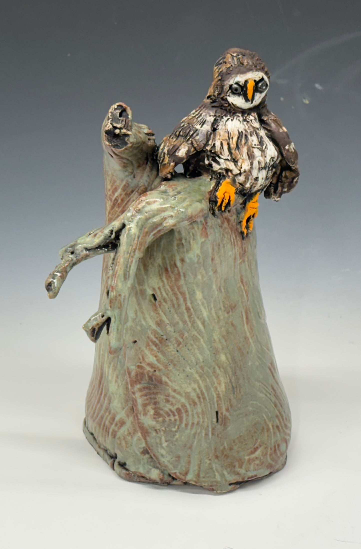 Jane Marshall - Owl in a Tree