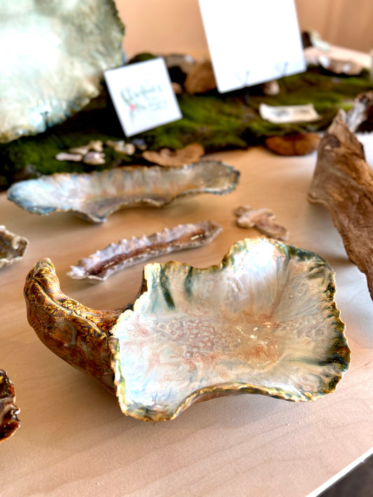 Bradford Brackin - Large Oyster Baker