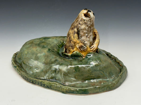 Jane Marshall - Prairie Dog