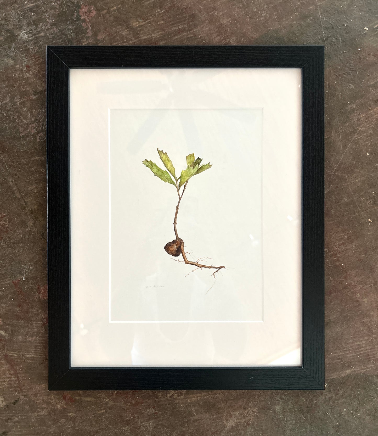 Sara Dismukes - Watercolor Framed