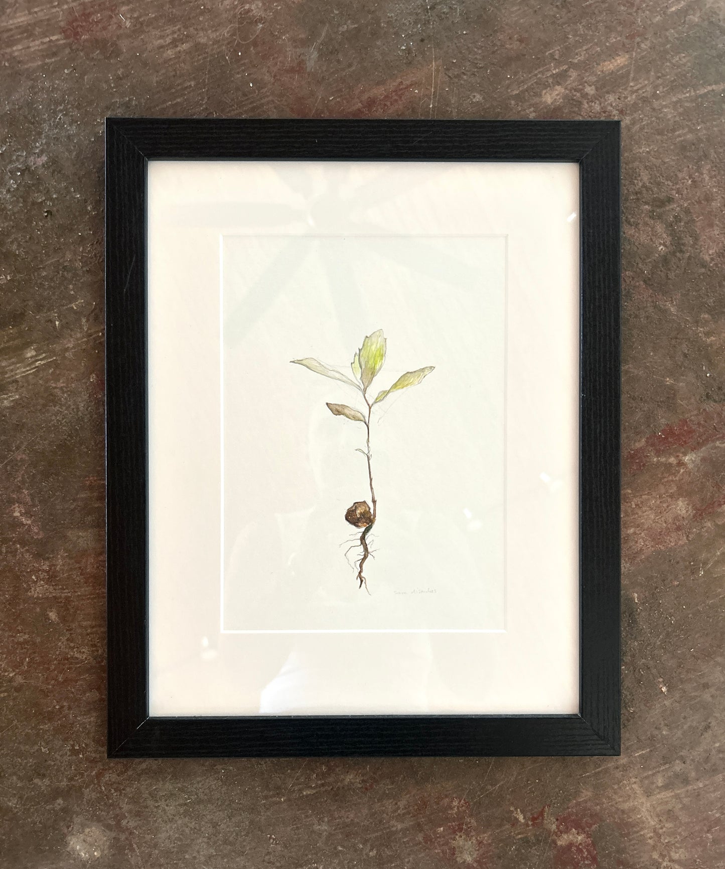 Sara Dismukes - Watercolor Framed