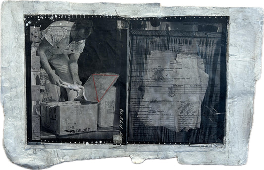 Tara Stallworth Lee - I Never Have Seen Such Clean Chickens